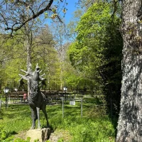 WhatsApp Image 2025-12-08 at 19.04.10 (1)