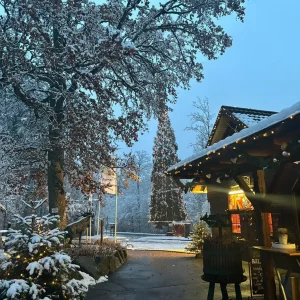 WhatsApp Image 2025-12-08 at 19.04.10 (2)