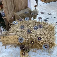 WhatsApp Image 2025-12-08 at 19.04.11 (3)