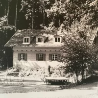 WhatsApp Image 2025-12-08 at 19.04.11