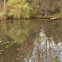 WhatsApp Image 2025-12-08 at 19.04.12 (15)