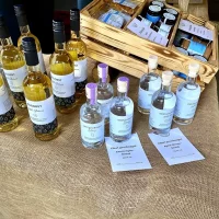 WhatsApp Image 2025-12-08 at 19.04.13 (10)