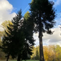 WhatsApp Image 2025-12-08 at 19.04.13