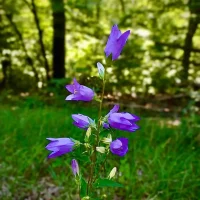 WhatsApp Image 2025-12-08 at 19.04.14 (15)