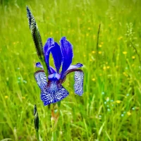 WhatsApp Image 2025-12-08 at 19.04.14 (16)