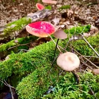 WhatsApp Image 2025-12-08 at 19.04.14 (4)