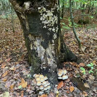 WhatsApp Image 2025-12-08 at 19.04.14 (7)