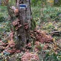 WhatsApp Image 2025-12-08 at 19.04.14 (8)