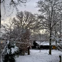 WhatsApp Image 2025-12-09 at 11.55.49