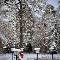 WhatsApp Image 2025-12-09 at 11.55.50 (4)