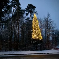 WhatsApp Image 2025-12-09 at 11.55.51 (1)