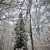 WhatsApp Image 2025-12-09 at 11.55.51