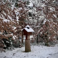 WhatsApp Image 2025-12-09 at 11.55.59